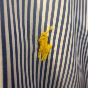 Ralph Lauren Blue and White Striped Shirt